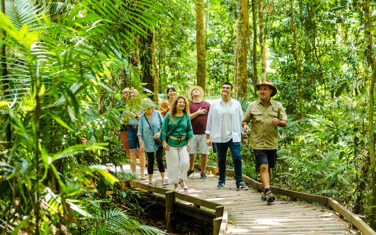 Rainforest.
