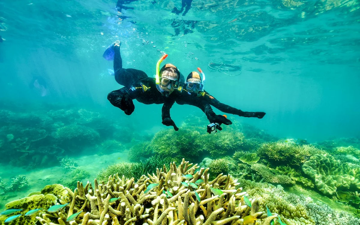 Snorkelling in the water. Coral underwater.
