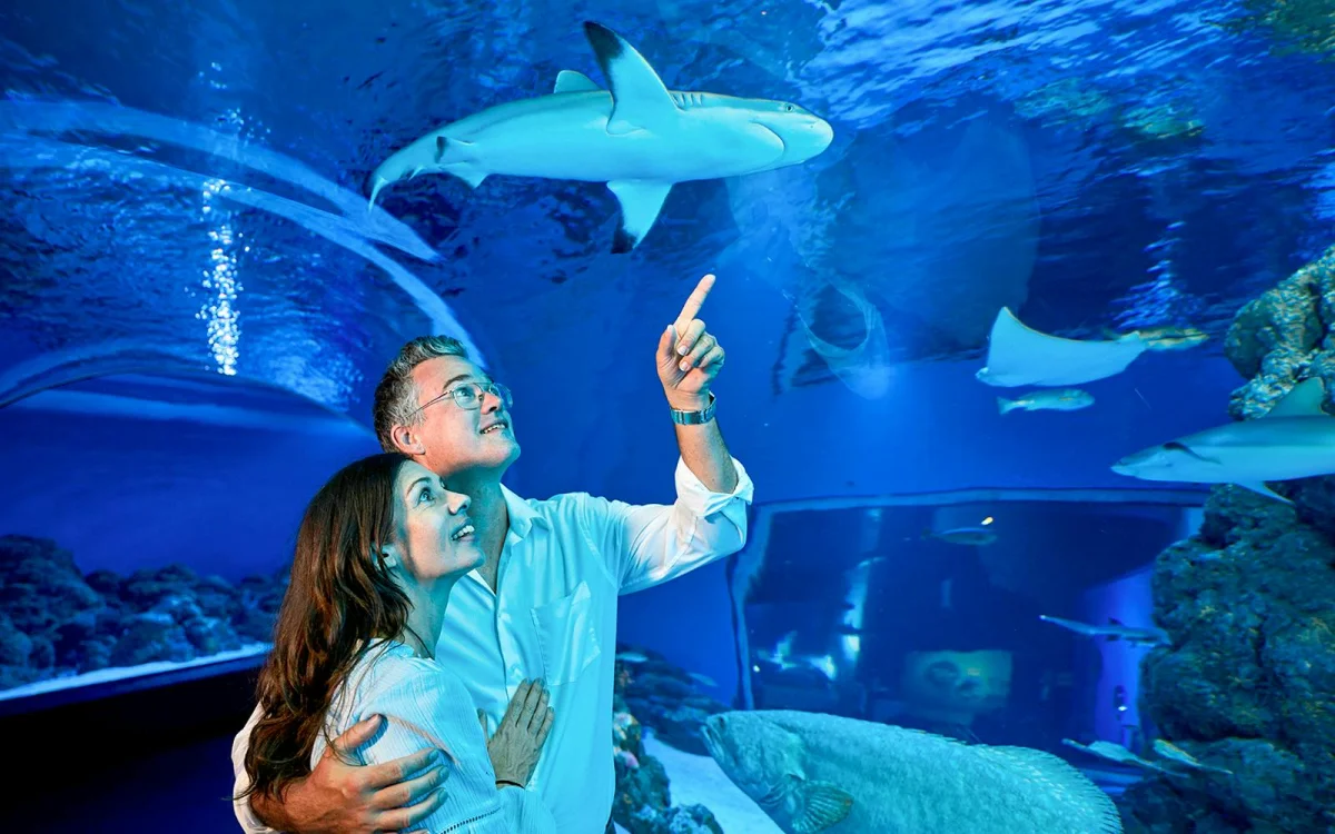 Aquarium display.
