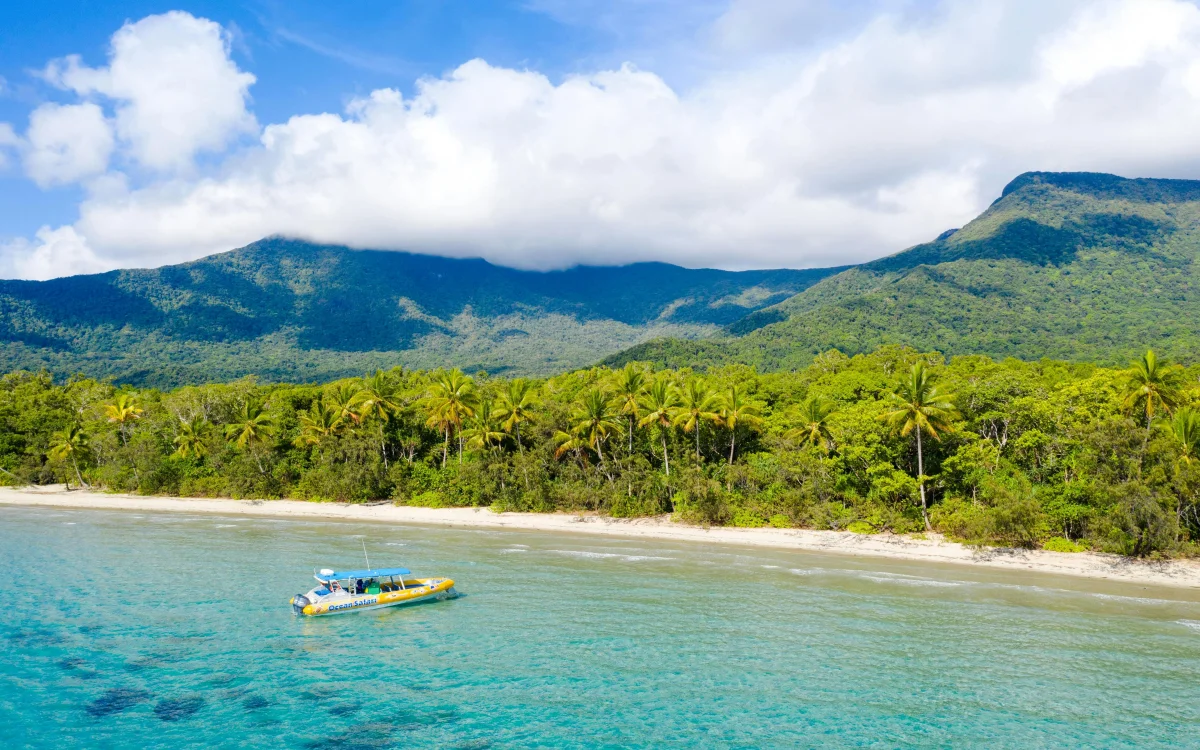 Snorkelling in the water. Boat on the water.