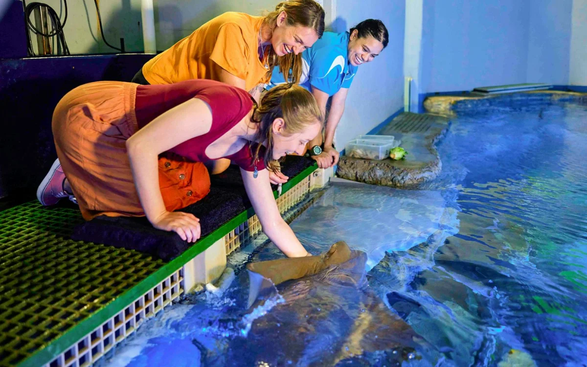 Aquarium display.