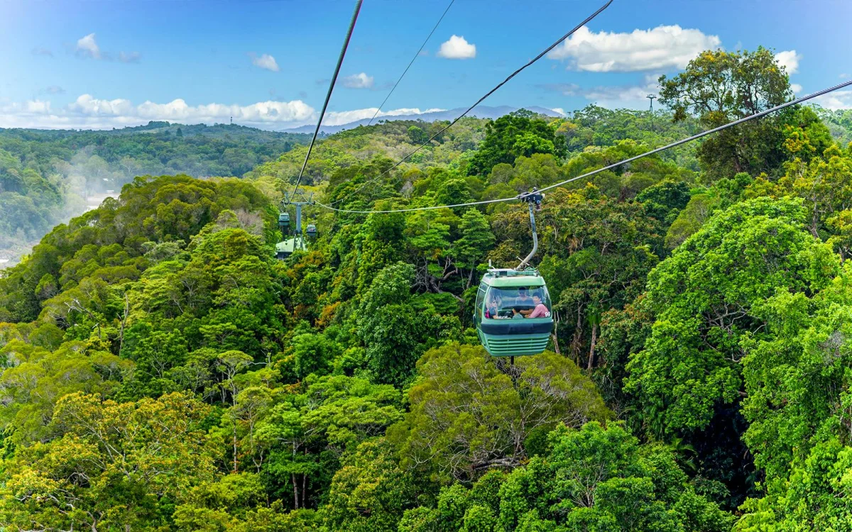 Rainforest.