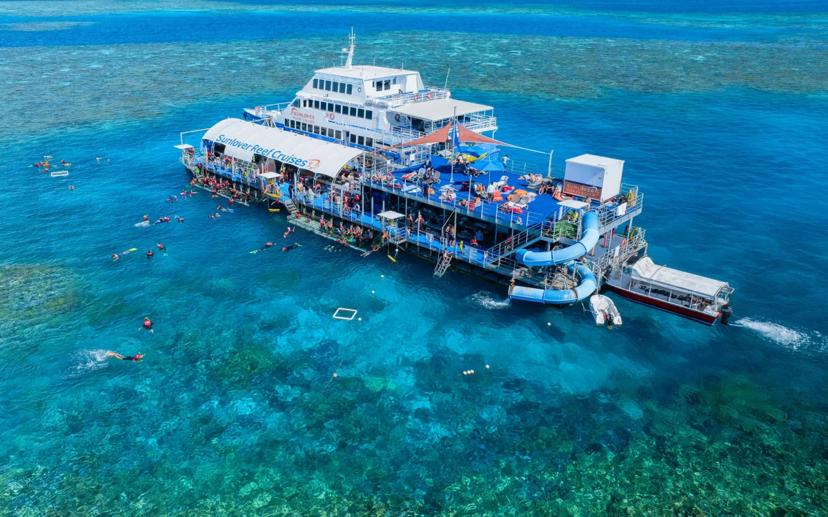 Snorkelling in the water.