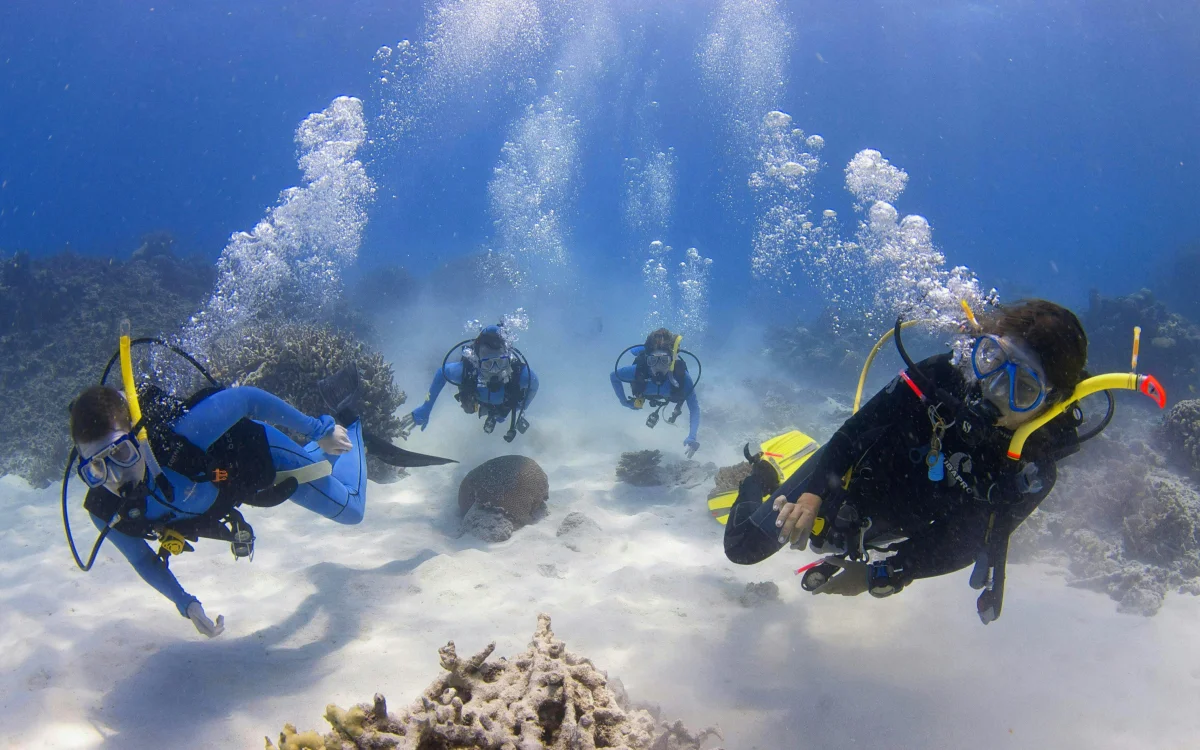 Coral underwater.