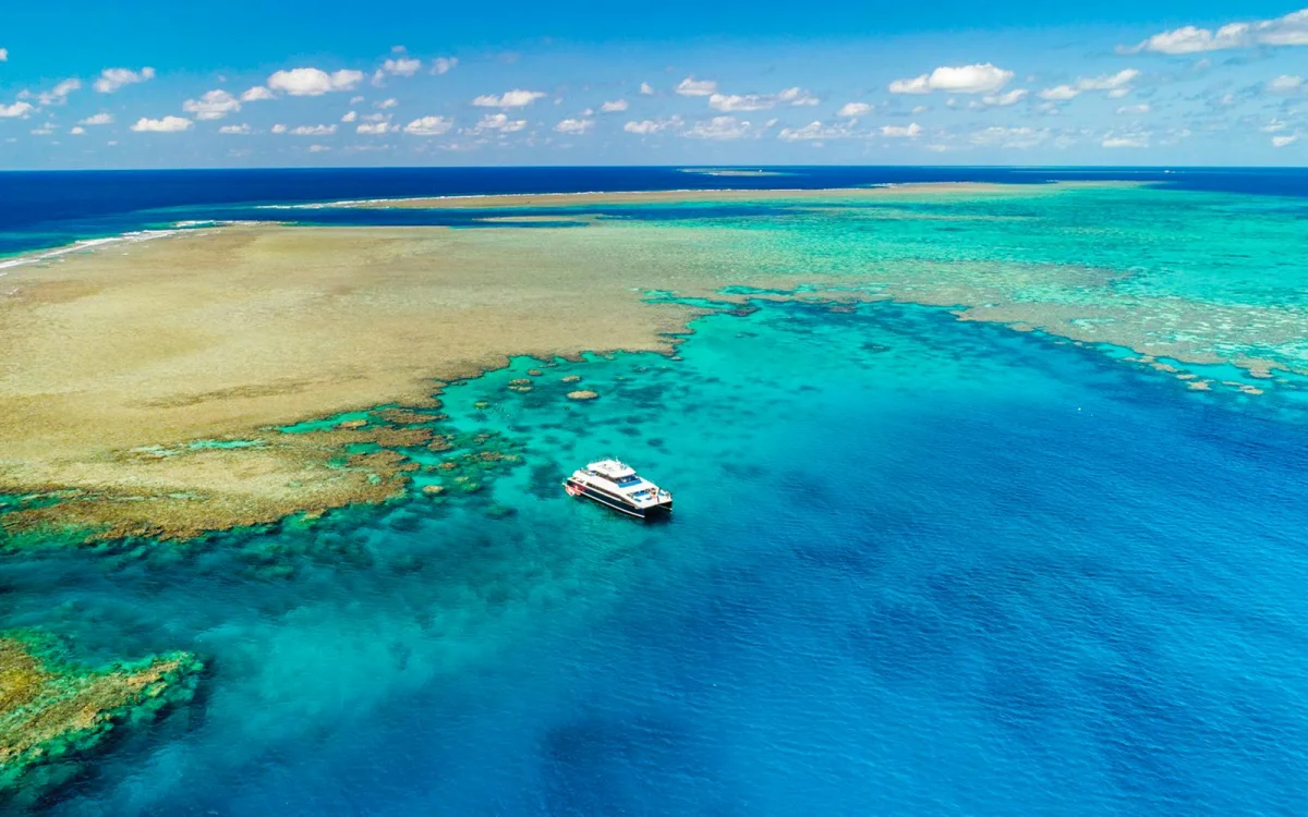 Snorkelling in the water. Coral underwater.