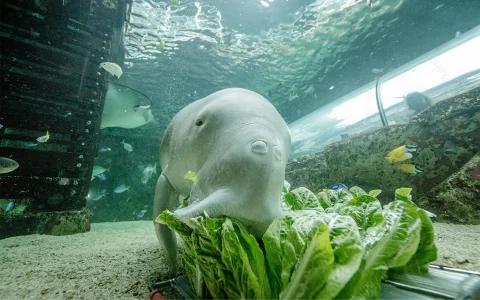 SEA LIFE Sydney Aquarium in Sydney