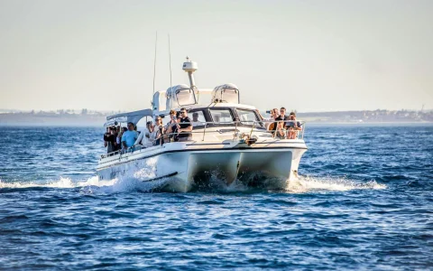 Sydney Small Group Whale Watching on Custom Water Level Viewing Boat