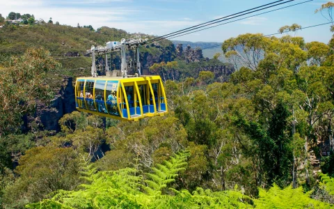 Blue Mountains Adventure Tour: Scenic World, Sydney Zoo, Koala Photo & Harbour Ferry Return