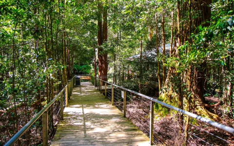 Blue Mountains Beat the Crowd Tour: Scenic World, Sydney Zoo & Harbour Ferry Return