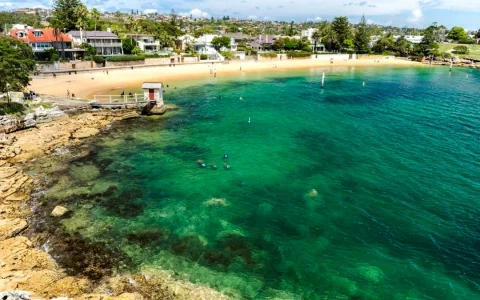 Sydney Watsons Bay Walking Tour with Ferry and Fish and Chips Lunch in Sydney