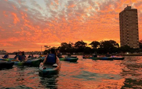 Sydney Habour Kayak Tours