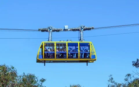 Blue Mountains Tour: Scenic World, Featherdale Wildlife Park & Harbour Ferry Return in Sydney