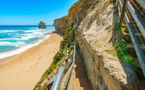 Great Ocean Road & 12 Apostles Full Day Tour with Round Trip Hotel Transfers