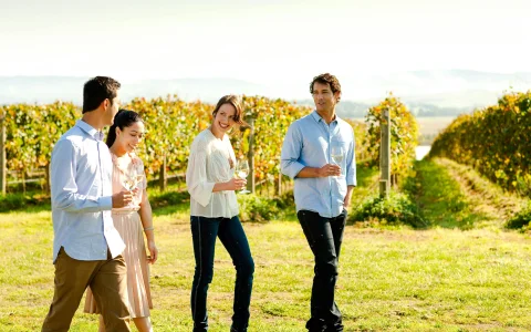 From Melbourne: Yarra Valley Small Group Tour with Chandon stop, Kangaroo Spotting at Sunset & Food Tasting
