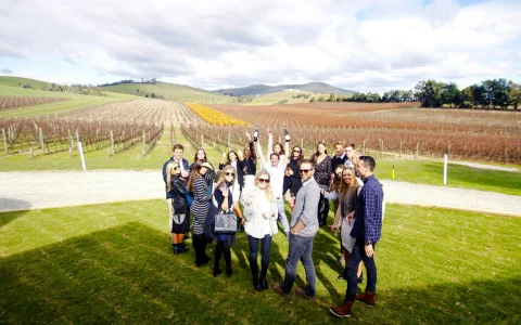 From Melbourne: Yarra Valley Wine Tour with 4 Wineries Visits and Gourmet Lunch at Balgownie Estate
