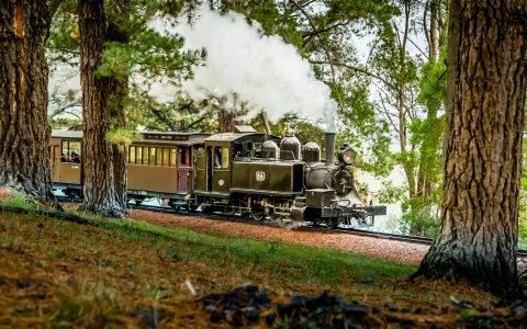 From Melbourne: Puffing Billy Steam Train Half Day Tour with Transfers in Melbourne