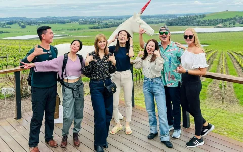 From Melbourne: Yarra Valley Wine Tour with Gin, Wine, Chocolate & Fruit Tastings