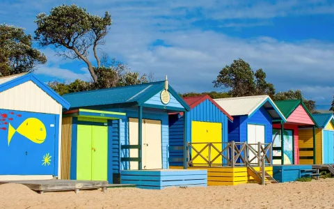 Wine Tour in Mornington Peninsula from Melbourne with Lunch in Melbourne