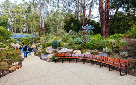 Full Day Tour of Yarra Valley & Dandenong Ranges with Lunch