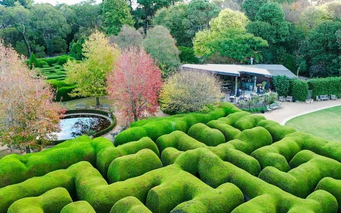Ashcombe Maze & Lavender Gardens Entry