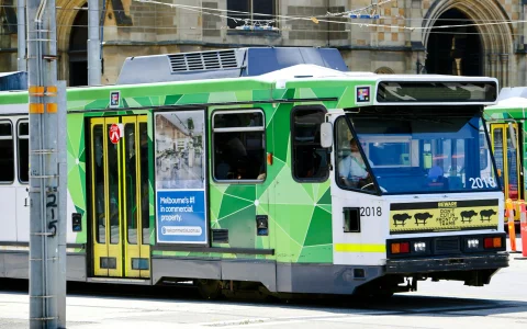 Melbourne Walking Tour with Tram Ride: Fitzroy, Laneways, Chinatown and St Kilda in Melbourne