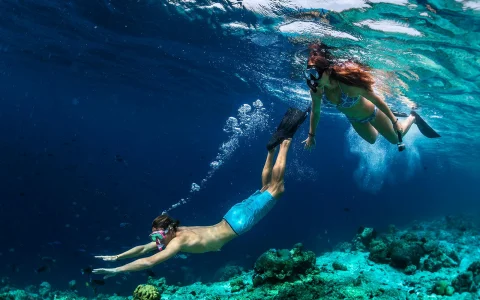Moreton Island Adventure Activities Package with Return Ferry
