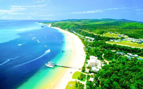 Moreton Island: Tangalooma Resort Cruise with Quad Bike Tour and Dolphin Feeding