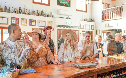 Full Day Winery Tour: Brisbane Pick Up