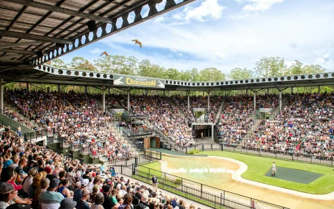 From Brisbane: Australia Zoo, Mooloolaba Beach & Surf Club Tour with Lunch & Drinks in Brisbane