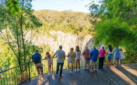 Natural Bridge & Springbrook Waterfalls Tour