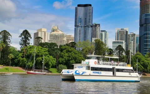 Lone Pine Koala Sanctuary with Brisbane River Cruise