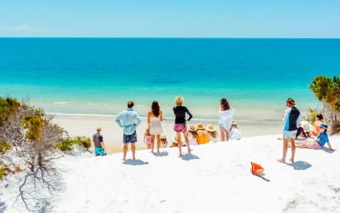 Full Day Whale Watching Cruise and Offbeat K'Gari Tour with Lunch in Brisbane