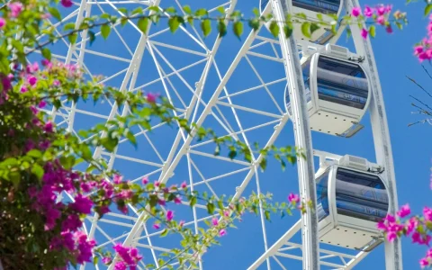 Brisbane Small Group Walking Tour