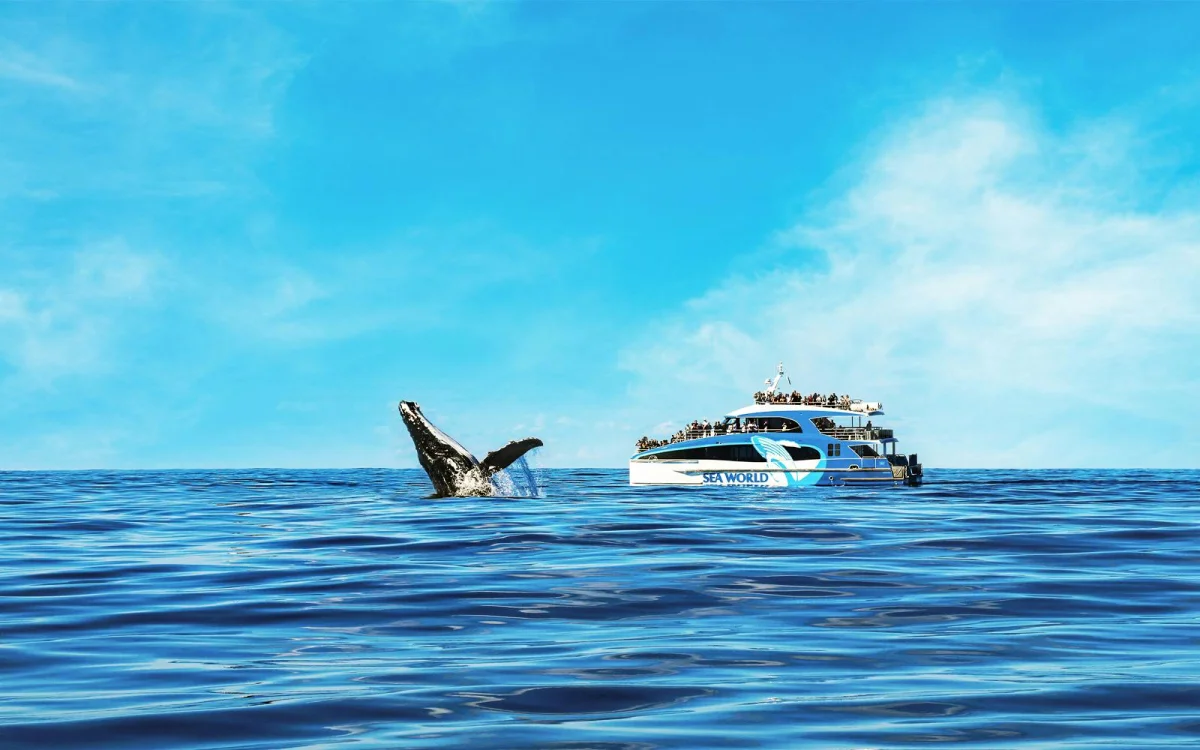 Boat on the water.