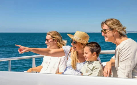 Premium Whale Watching Cruise by SeaWorld