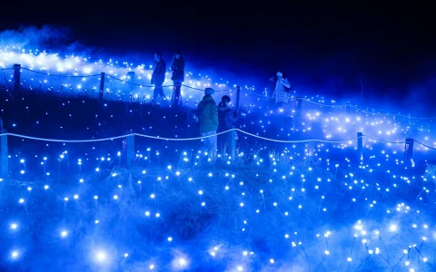 Astra Lumina at Currumbin Wildlife Sanctuary