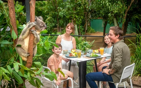 Currumbin Wildlife Sanctuary