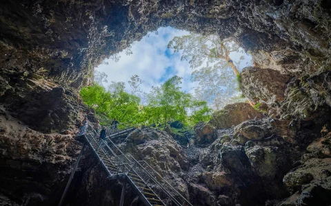 Margaret River: Lake Cave Guided Tour