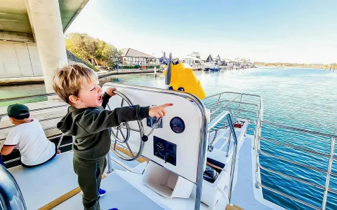 From Mandurah: Scenic View Dolphin Cruise in Mandurah