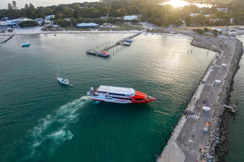 From Perth: Rottnest Island Return Ferry with Swan River Commentary