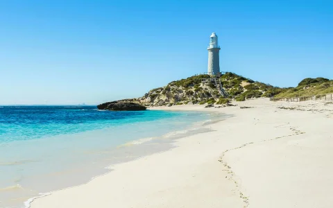 From Fremantle: Rottnest Island Bike & Return Ferry Tour