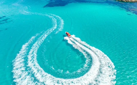 From Perth/ Fremantle: Rottnest Island Snorkel Tour with Return Ferry