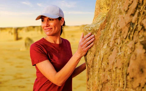 Pinnacles Sunset & Stargazing Tour with Picnic Style Dinner & Round Trip Transfers