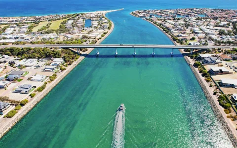 Giant & Dolphin Sightseeing Cruise in Mandurah