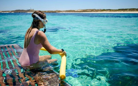 Rottnest Island Guided Snorkelling Tour: 9am Departure in Perth
