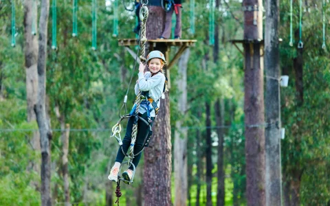 Busselton: Forest Adventures High Ropes Course