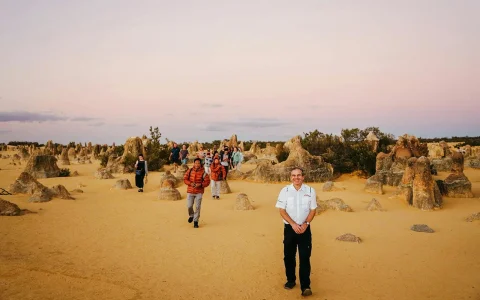 Pinnacles Sunset, Stargazing, & Wildlife Spotting Tour with Tavern Dinner & Round Trip Transfers in Perth