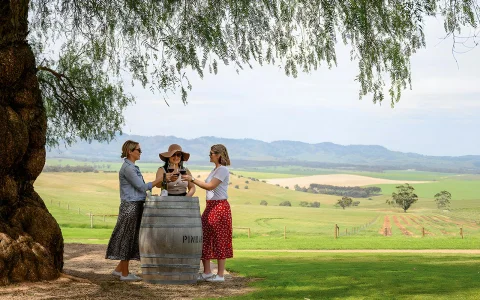 Barossa Food Tour with Wine Tasting in Adelaide