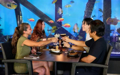 Cairns Aquarium Night Tour with Optional Dinner in Cairns