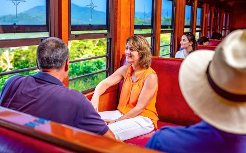 From Cairns: Kuranda Scenic Train & Skyrail Guided Tour with Transfers